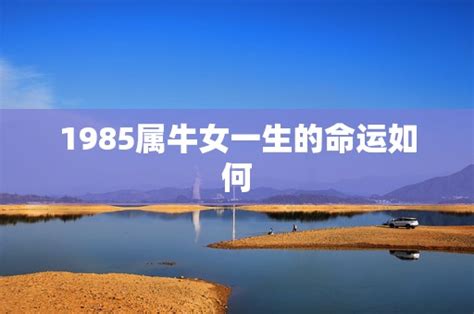 1985年什么命|1985年出生的人是什么命